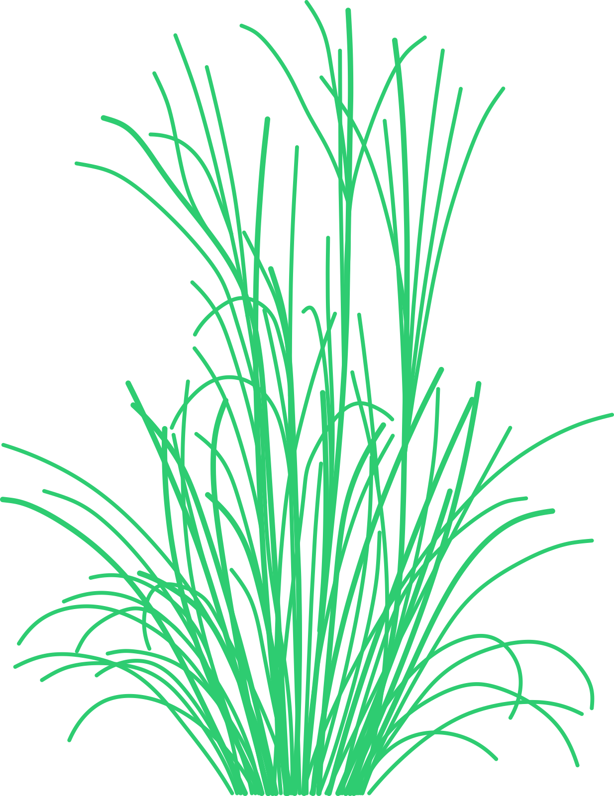 Plants Grasses Svg Line Art Free Vectors